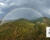 Nature’s sentinels: Juniper trees in Saudi Arabia’s Sarawat mountains