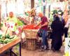 Egypt’s inflation slows to 25.7% in July 