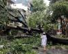 More than 127 dead in Vietnam super typhoon