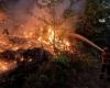 Thousands of firefighters battle 'raging' wildfires across Portugal