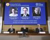 Nobel Prize in Economics awarded to trio for research on global inequality