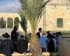 ​​​​​​​1,390 illegal Israeli settlers enter Al-Aqsa Mosque complex during Sukkot celebrations