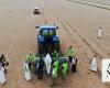 Madinah greening project plants trees, vegetation