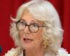 Domestic violence should not be taboo subject, says Queen Camilla 