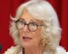 Queen Camilla cancels engagements due to chest infection