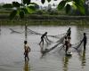 Tropical wetlands are unleashing a methane bomb, challenging global climate pledges; SE Asia among biggest contributors