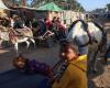 ‘More valuable than gold’: Donkeys become lifelines in war-torn Gaza as fuel and transport collapse