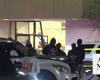 Pickup truck driver killed by police after driving through Texas mall and injuring 5