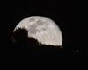 To the Moon and beyond: Japan unveils plans for lunar habitat with artificial gravity