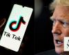 Trump asks Supreme Court to delay TikTok ban so he can weigh in after he takes office