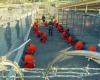 US says Guantanamo inmate sent back to Tunisia