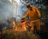 Another ‘Black Summer’ brewing in Australia’s south-east? Bushfire risk rises as heatwave sends temperatures soaring to 45C