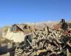 Powerful earthquake rocks Tibet and parts of Nepal, killing at least 95