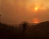 Extreme weather, suburban sprawl fuel LA’s wildfires