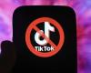 TikTok to suspend access in the US as ban looms