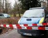 Toddler and man fatally stabbed in German park