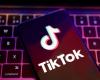 US-born teen shot dead by father in Pakistan over TikTok videos, police probe ‘honour killing’ angle