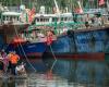 ‘Tainted by modern slavery’: N. Koreans endure years of forced labour on Chinese ships, says report