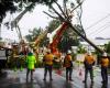 Storm chaos in Australia: Ex-cyclone Alfred leaves 300,000 in Queensland state without power, triggers floods