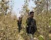 Red dust rising: In India’s Maoist war, civilians pay the price