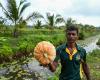 Sri Lanka’s ‘commando farmers’ battle salt to save farms, food supply