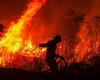 Rainforests burn at record pace, 18 football fields lost every minute, says think tank