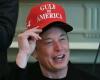 Mission accomplished? Musk announces departure from DOGE, thanks Trump