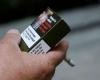 ‘Where there are children, tobacco must disappear’: France bans smoking in parks, beaches and near schools from July 1
