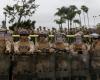 US marine jailed in Japan for attempted rape, choking woman in Okinawa