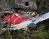 Indian investigators retrieve black box data as search for answers continues after deadly Air India crash