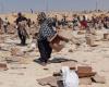 Gaza aid contractor says he saw colleagues fire on hungry Palestinians