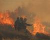 State of emergency declared in Crete after wildfire devastates Ierapetra