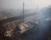 Wildfire near Marseille forces airport shutdown, hundreds evacuated as France braces for high-risk summer