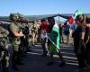 One critically injured, 200 arrested in California cannabis farm raid by ICE as Trump calls protestors ‘slimeballs’