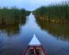 World risks up to US$39t in economic losses from vanishing wetlands, report says
