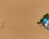 At least 14 dead, 12 missing as heavy rain pelts South Korea