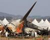 Pilots shut off wrong engine after bird strike in deadly Jeju Air crash, source claims