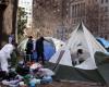 Trump demands homeless people 'immediately' move out of Washington