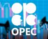 OPEC raises global oil demand forecast for 2026