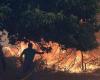 Data shows Europe facing its worst wildfire season in decades