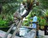 Hail’s farms offer journey into rural Saudi life