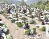 KSrelief continues emergency shelter aid efforts