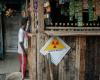 Indonesia finds radiation traces at Sumatra clove farm as Caesium-137 probe widens