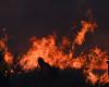 ‘Bigger, hotter, faster’: Global wildfires drive surge in climate-heating CO2 emissions