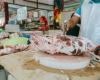 Suspecting affair, man in China stabs wife over butcher’s discount, gets 10 years’ jail — and her forgiveness