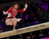 Indonesia defiant after IOC urges sports boycott over Israeli athlete ban