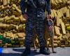 ‘Hulk’ smashes records: Sniffer dog uncovers Brazil’s largest-ever marijuana seizure at 48 tons