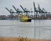 Europe’s second-biggest port Antwerp grinds to halt after oil spill blocks key shipping route