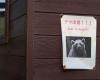 Hungry bears on the prowl: Japan confirms first deadly attack of 2026
