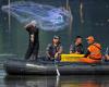 Invasive ‘sucking fish’ floods Jakarta rivers, piling up in toxic pollution zones